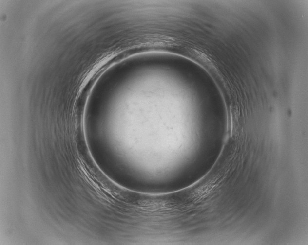 X0000056340435200508261250