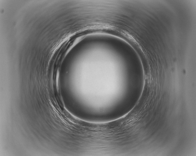 X0000056340436200508261250