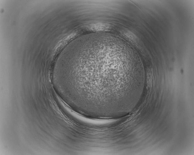 X0000056340453200508261250