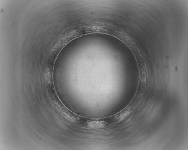 X0000056340465200508261250