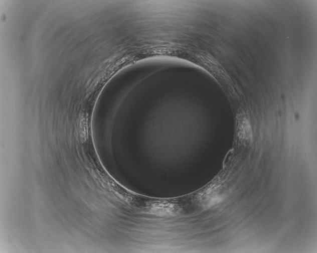 X0000056340471200508261250