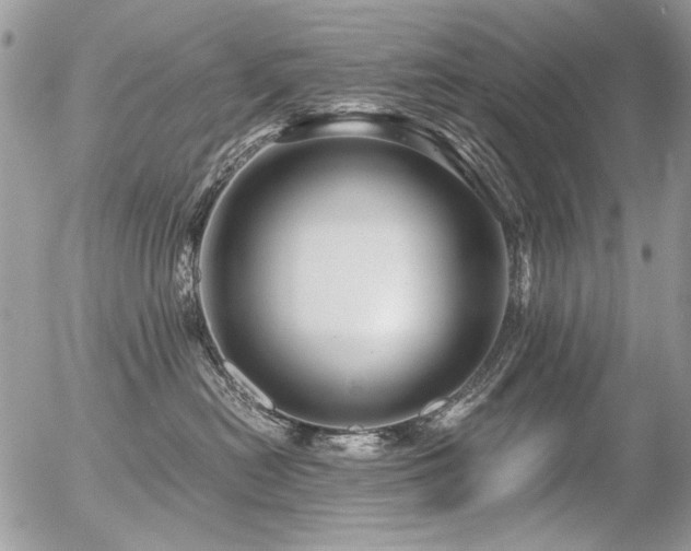 X0000056340478200508261251