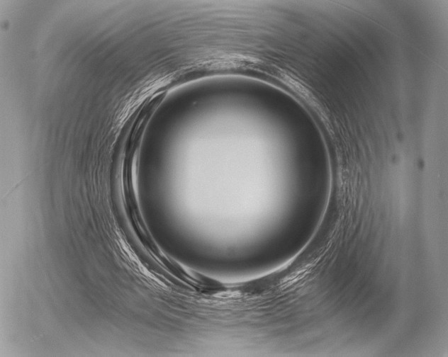X0000056340485200508261250