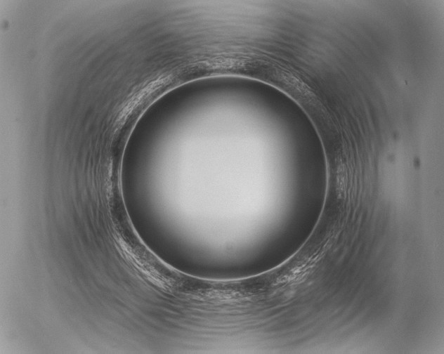 X0000056340490200508261250