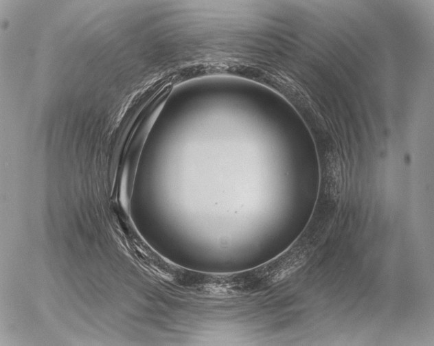 X0000056340496200508261250