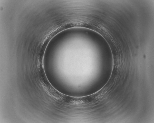 X0000056340500200508261249
