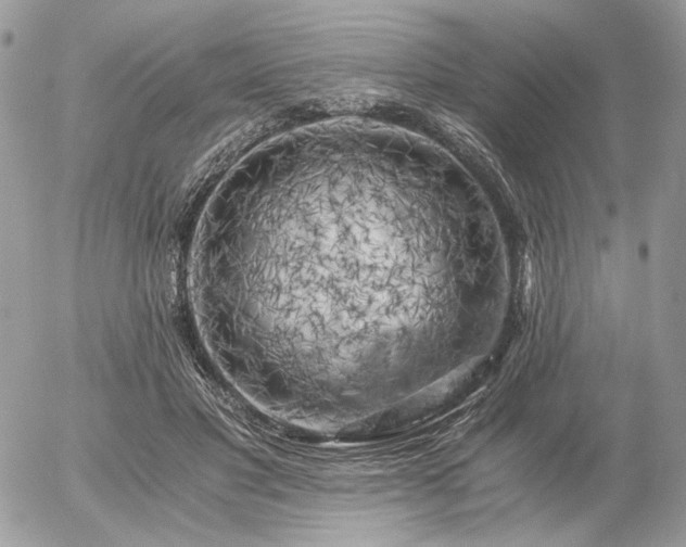 X0000056340501200508261249