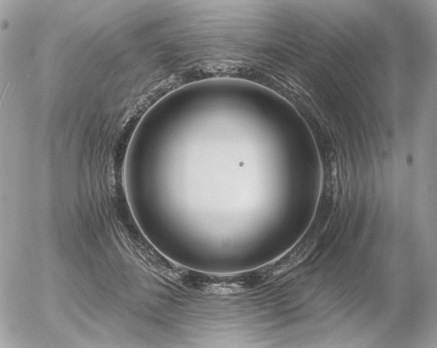 X0000056340508200508261249