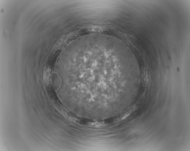 X0000056340511200508261249