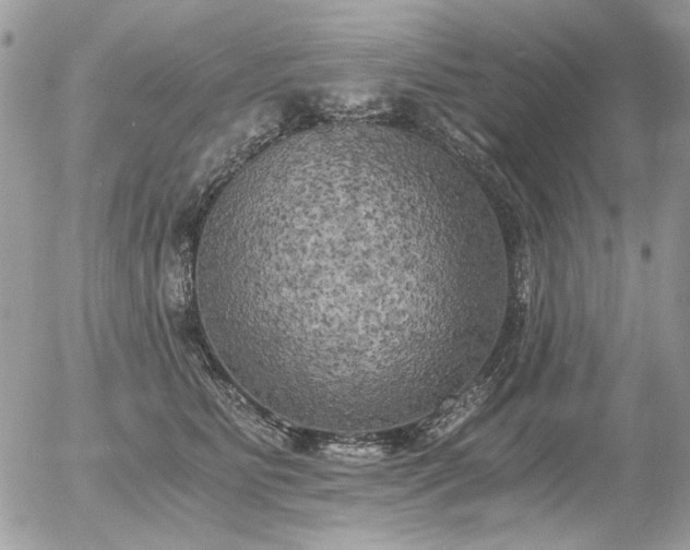 X0000056340515200508261249