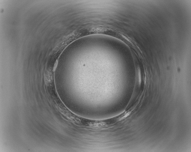 X0000056340517200508261249