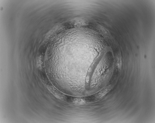 X0000056340519200508261249