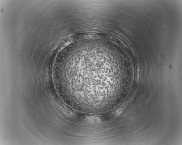X0000056340520200508261249
