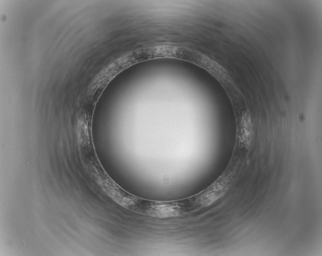 X0000056340522200508261249