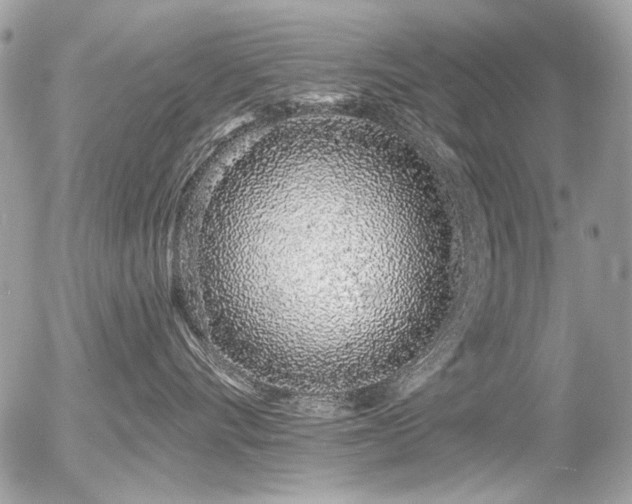 X0000056340528200508261249