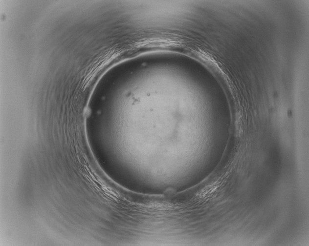 X0000056340529200508261248