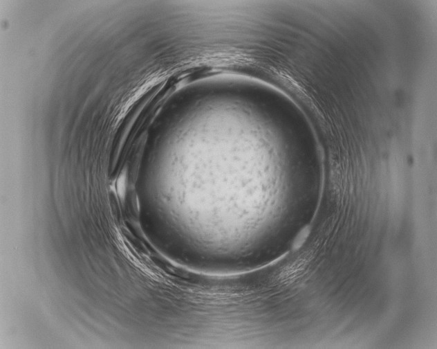 X0000056340530200508261248