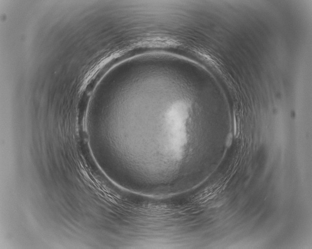 X0000056340531200508261248