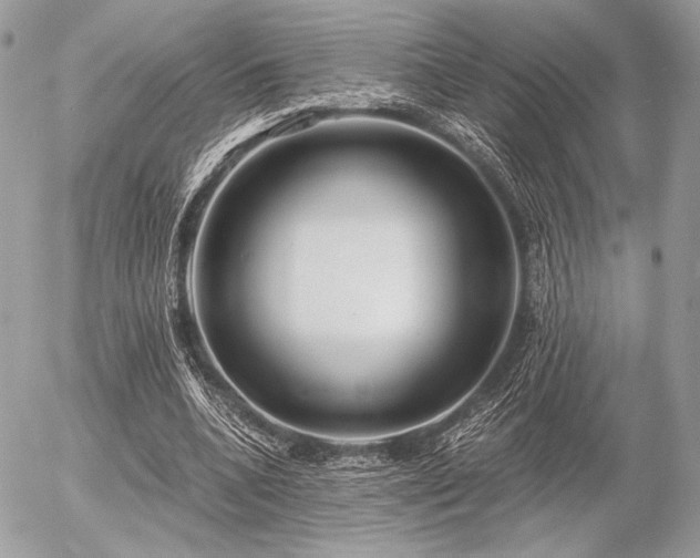 X0000056340536200508261248