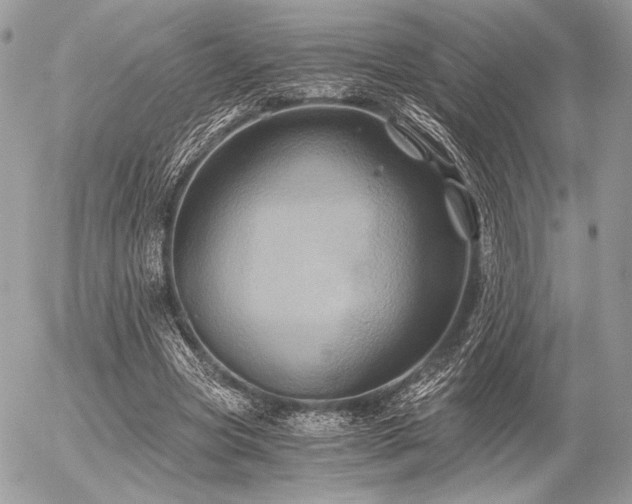 X0000056340537200508261248