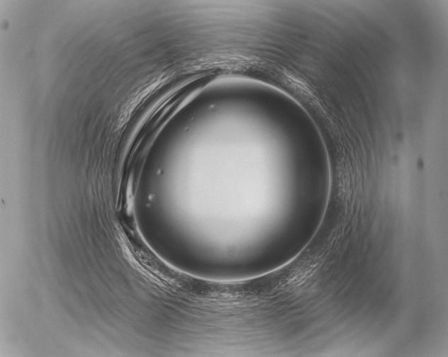 X0000056340538200508261248