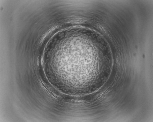 X0000056340539200508261248