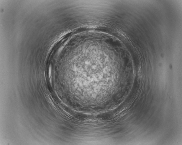 X0000056340540200508261248