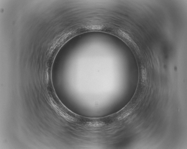 X0000056340541200508261248