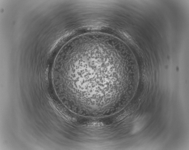 X0000056340543200508261248