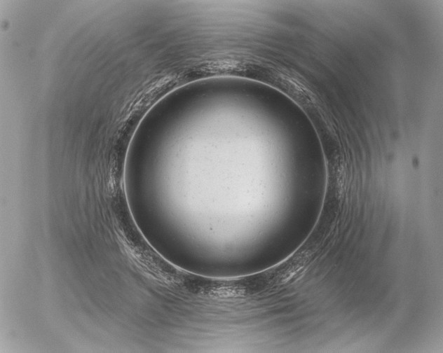 X0000056340546200508261248