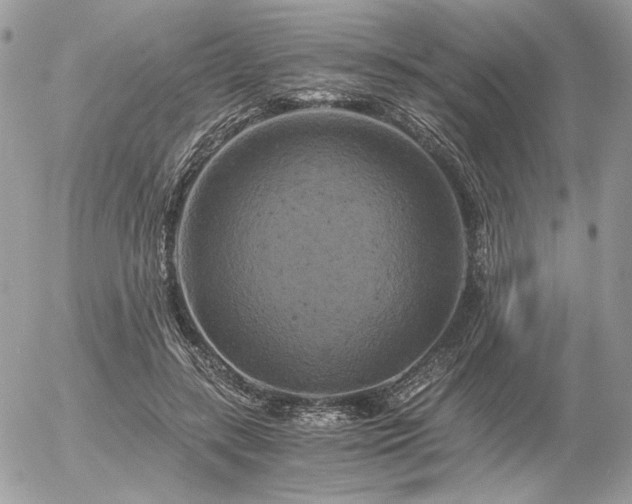 X0000056340547200508261248