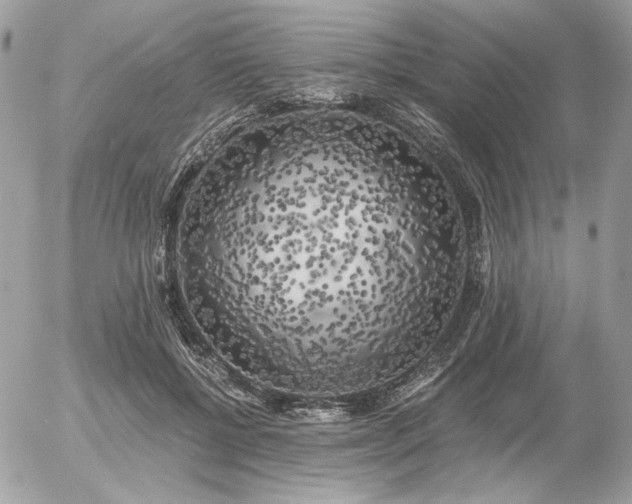 X0000056340552200508261249
