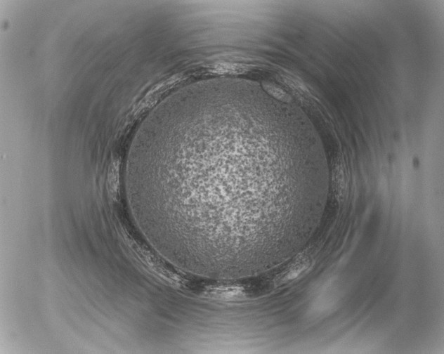 X0000056340554200508261249