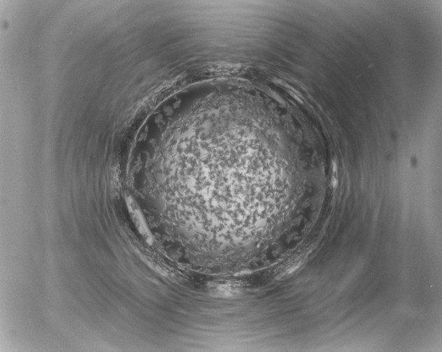 X0000056340564200508261249