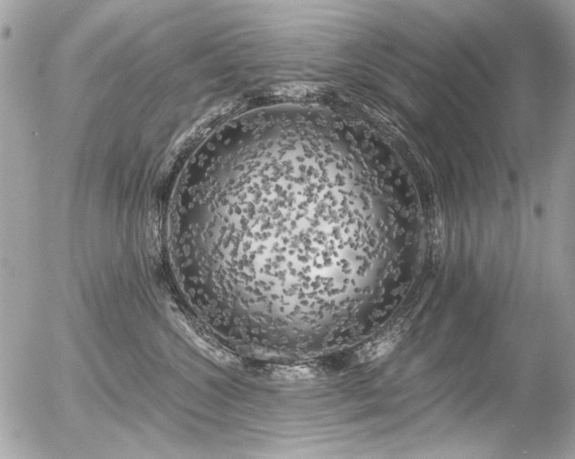 X0000056340572200508261249