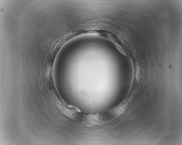 X0000056340574200508261249