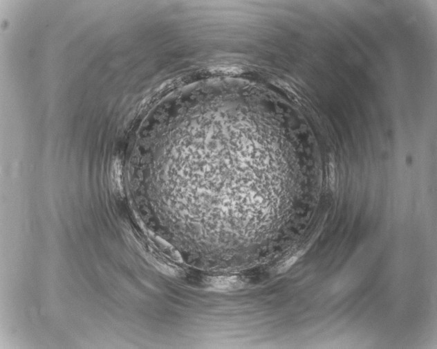 X0000056340575200508261249