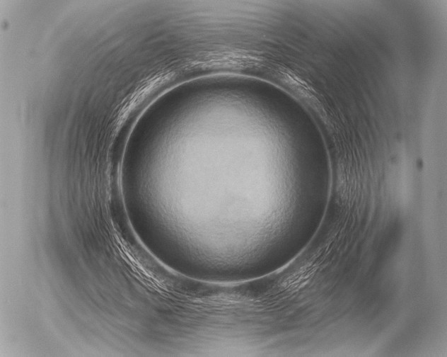 X0000056340578200508261248