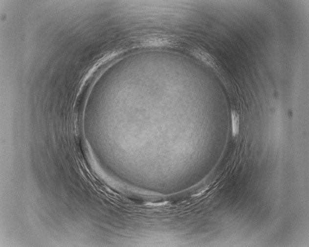 X0000056340579200508261248