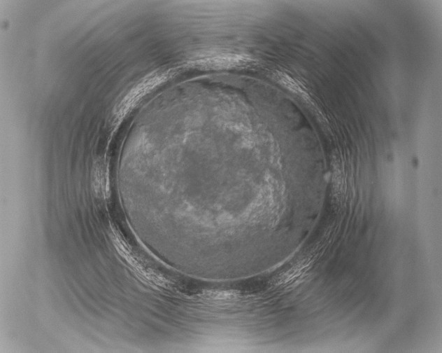 X0000056340582200508261248