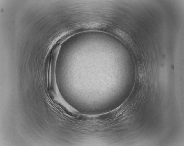 X0000056340583200508261248