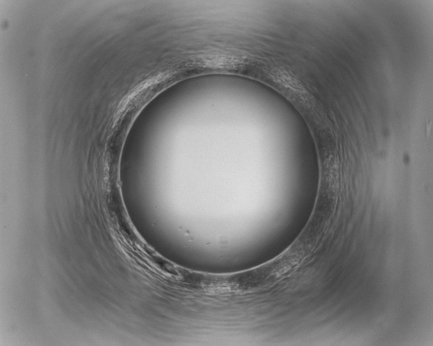 X0000056340587200508261248