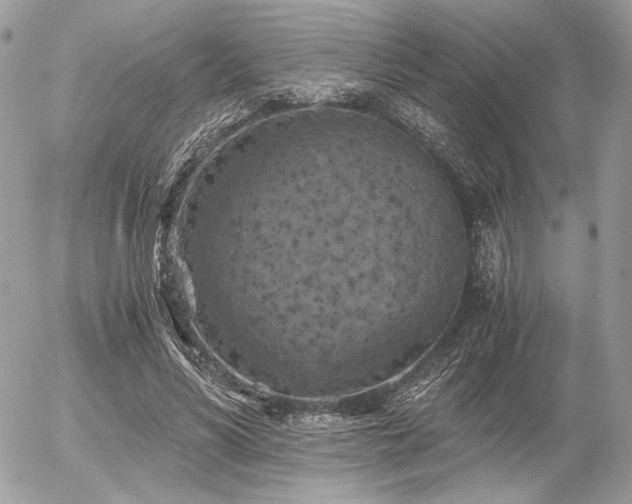 X0000056340590200508261248