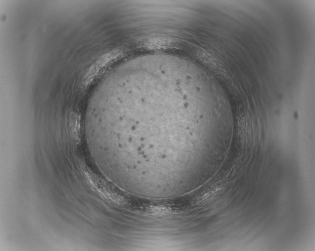 X0000056340592200508261248