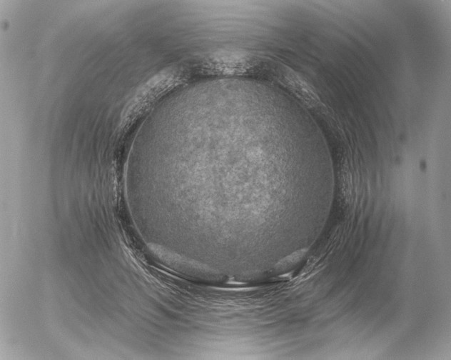 X0000056340594200508261248