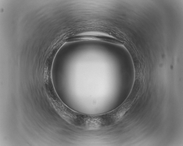 X0000056340599200508261248