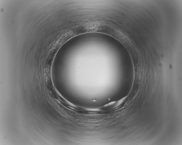 X0000056340601200508261248