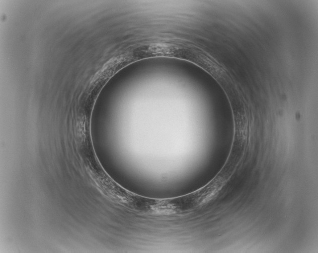 X0000056340603200508261248