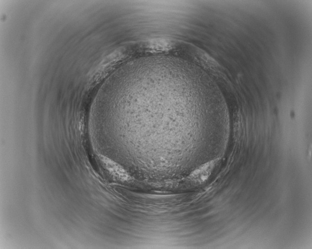 X0000056340608200508261248