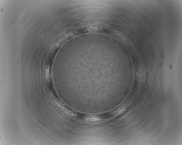 X0000056340610200508261248